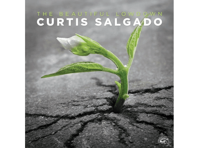 Curtis-Salgado-The-Beautiful-Lowdown-CD