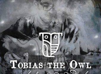 Tobias-The-Owl-A-Safe-Harbor-for-Wayward-Echoes-e1533536362285