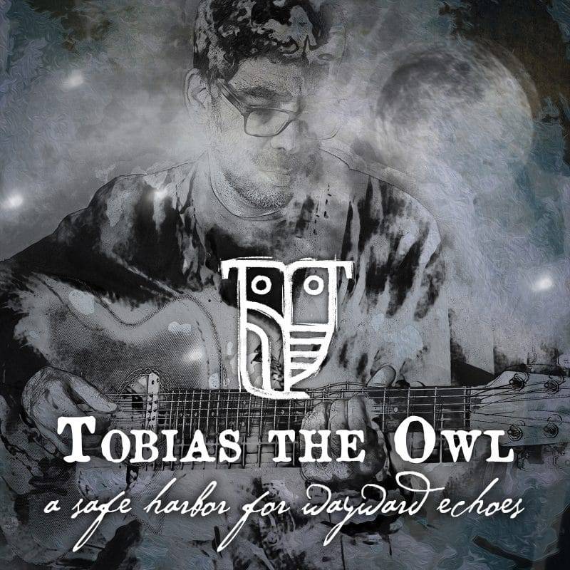 Tobias-The-Owl-A-Safe-Harbor-for-Wayward-Echoes-e1533536362285