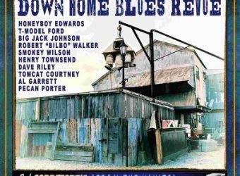 Bob Corritore and friends - Down Home Blues Revue