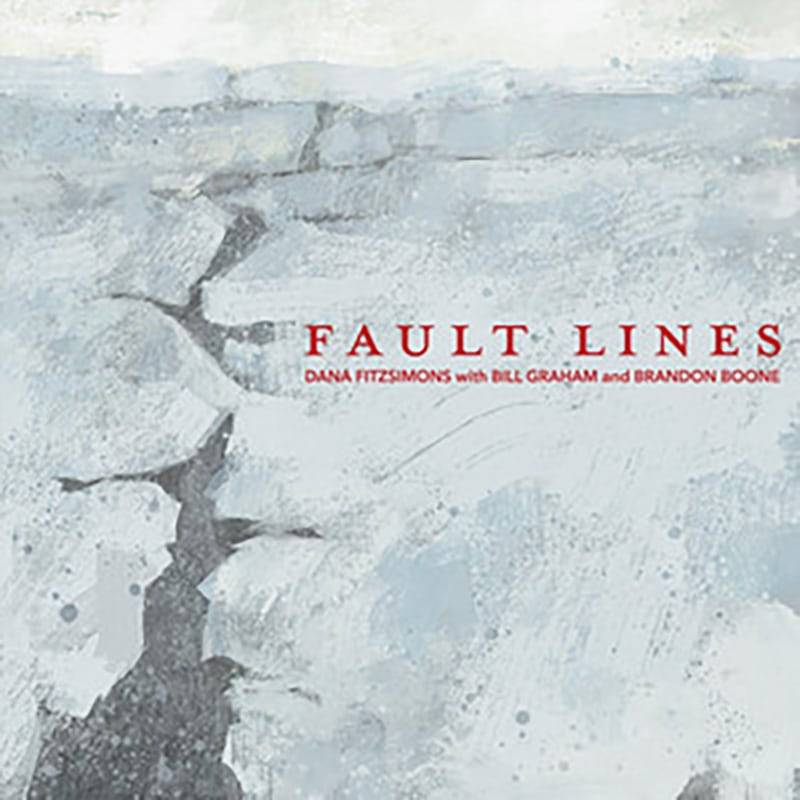 Fault-lines-cover