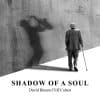 David Bloom Cliff Colnot  Shadow of a Soul