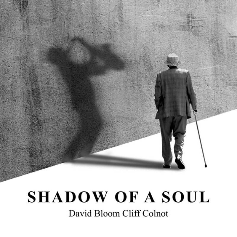 Shadow-of-a-Soul-Cover-5x5-768x768