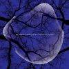 The Angelica Sanchez Nonet  Nighttime Creatures