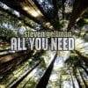 Steve Gellman  All You Need