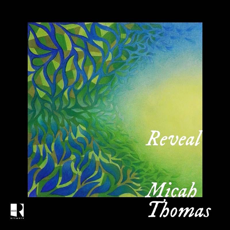 Micah Thomas Reveal