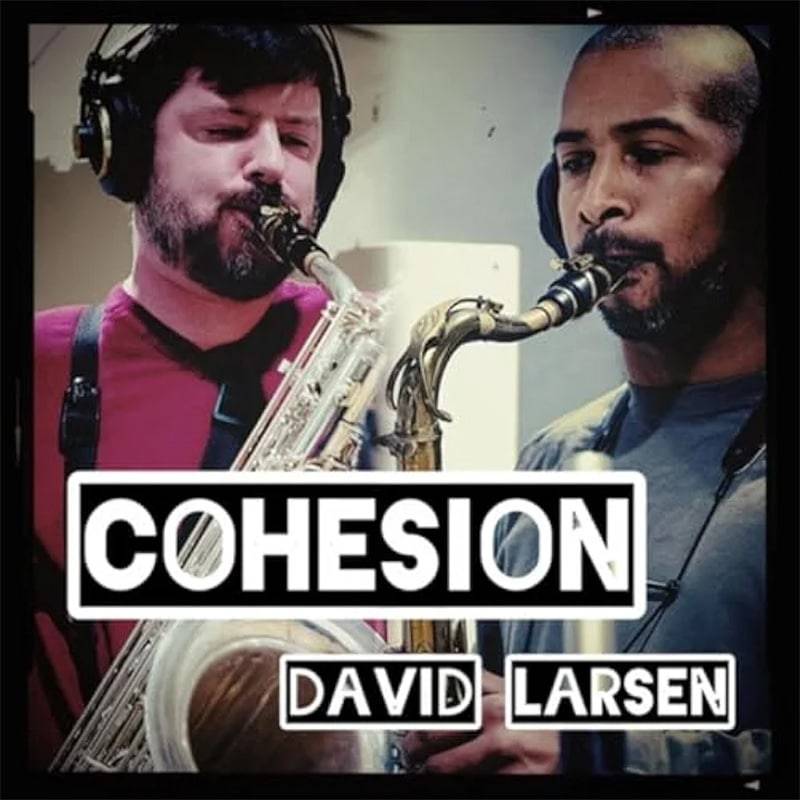 DAVID LARSEN  COHESION