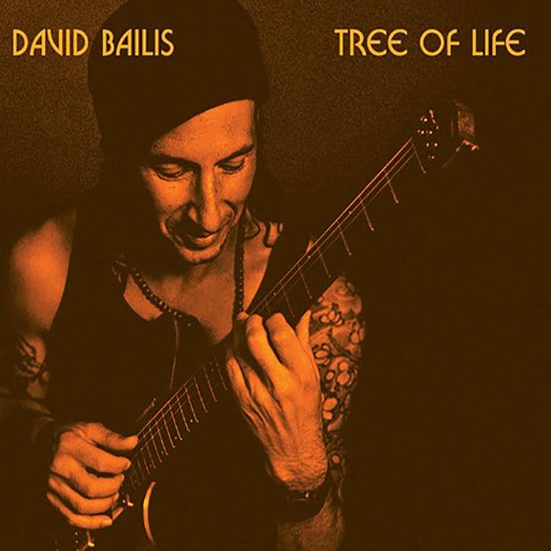 David-Bailis-Tree-of-Life-COVER-2