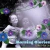 Ellie Martin MORNING GLORIES