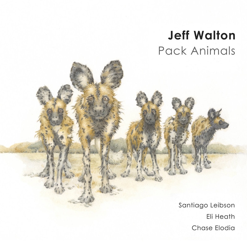 Jeff Walton  Pack Animals