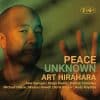 Art Hirahara  Peace Unknown