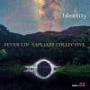 Peter Lin AAPI JAZZ COLLECTIVE  IDENTITY