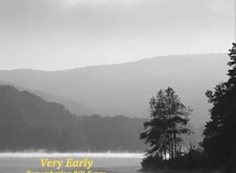 413aHnbygnL._UX358_FMwebp_QL85_ copy