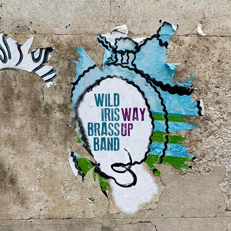 Wild Iris Brass Band  WAY UP