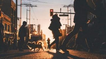 91nzuc3pcJL._SL1500_