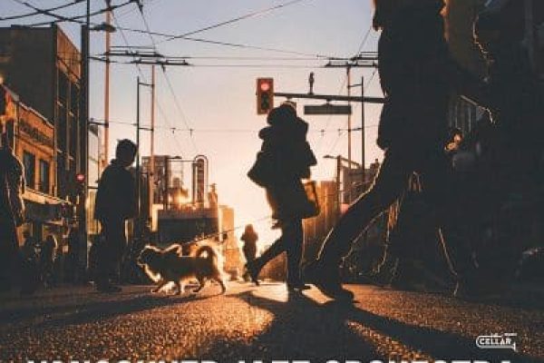 91nzuc3pcJL._SL1500_