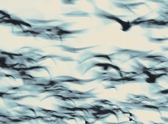 81XTpR35XxL._SL1500_