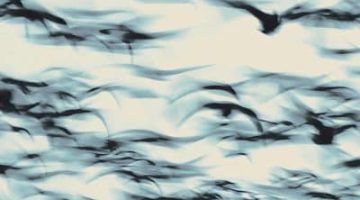 81XTpR35XxL._SL1500_