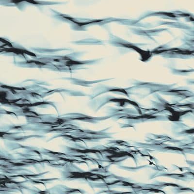 81XTpR35XxL._SL1500_