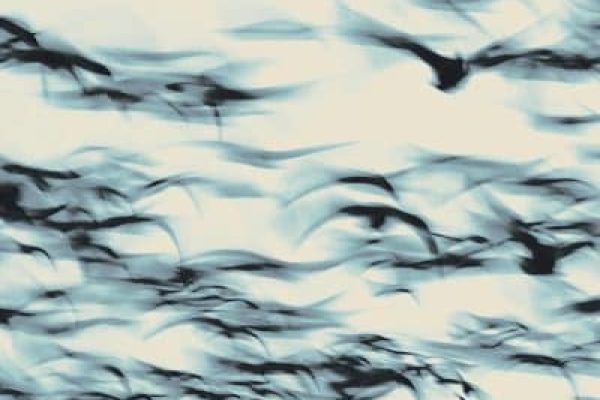 81XTpR35XxL._SL1500_