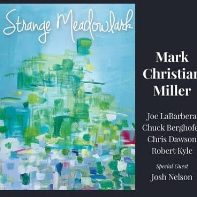 Mark Christian Miller