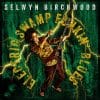 Selwyn Birchwood  Electric Swamp Funkin' Blues