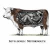 Seth James  Motormouth