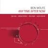 Ben Wolfe ANY TIME AFTER NOW